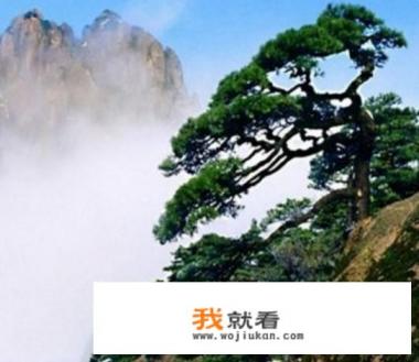 8月黄山适合旅游吗？