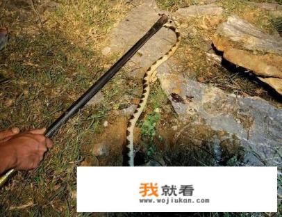 朋友发朋友圈钓鱼应该怎么回复？