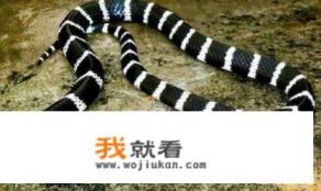 朋友发朋友圈钓鱼应该怎么回复？