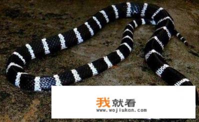 朋友发朋友圈钓鱼应该怎么回复？