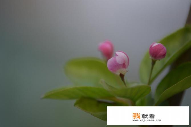 玩游戏花了20万后悔抑郁怎么办？