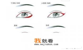 人都有哪几种眼形？