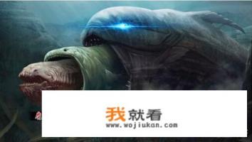 大神们，谁能告诉下斗罗大陆游戏非rmb玩家攻略啊？