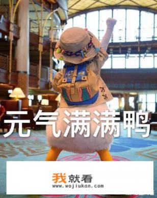 程序员转行可以做哪些岗位？