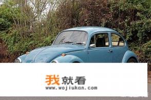 甲壳虫最新款是哪年？