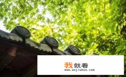 舒服的晚风自由的灵魂是什么意思？