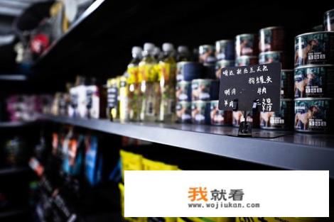 南京宠物美容培训费用多少？