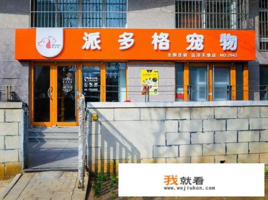 南京宠物美容培训费用多少？