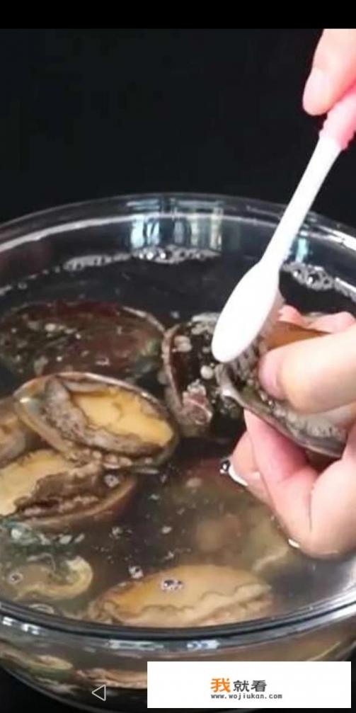 清蒸鲍鱼最正宗的做法？