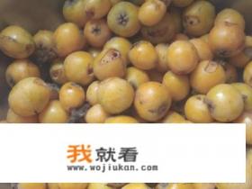 怎样自制枇杷膏？