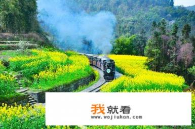 陕西正宗街头小吃都有什么？