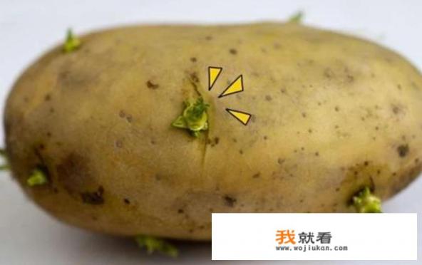 发芽的马铃薯能吃吗？
