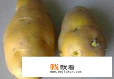 发芽的马铃薯能吃吗？