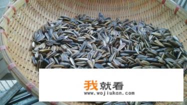 尾巴尖尖带壳的海鲜？