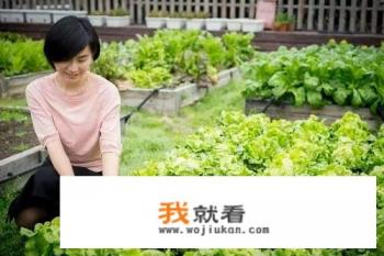 国内有没有比较好的沙拉店品牌加盟？