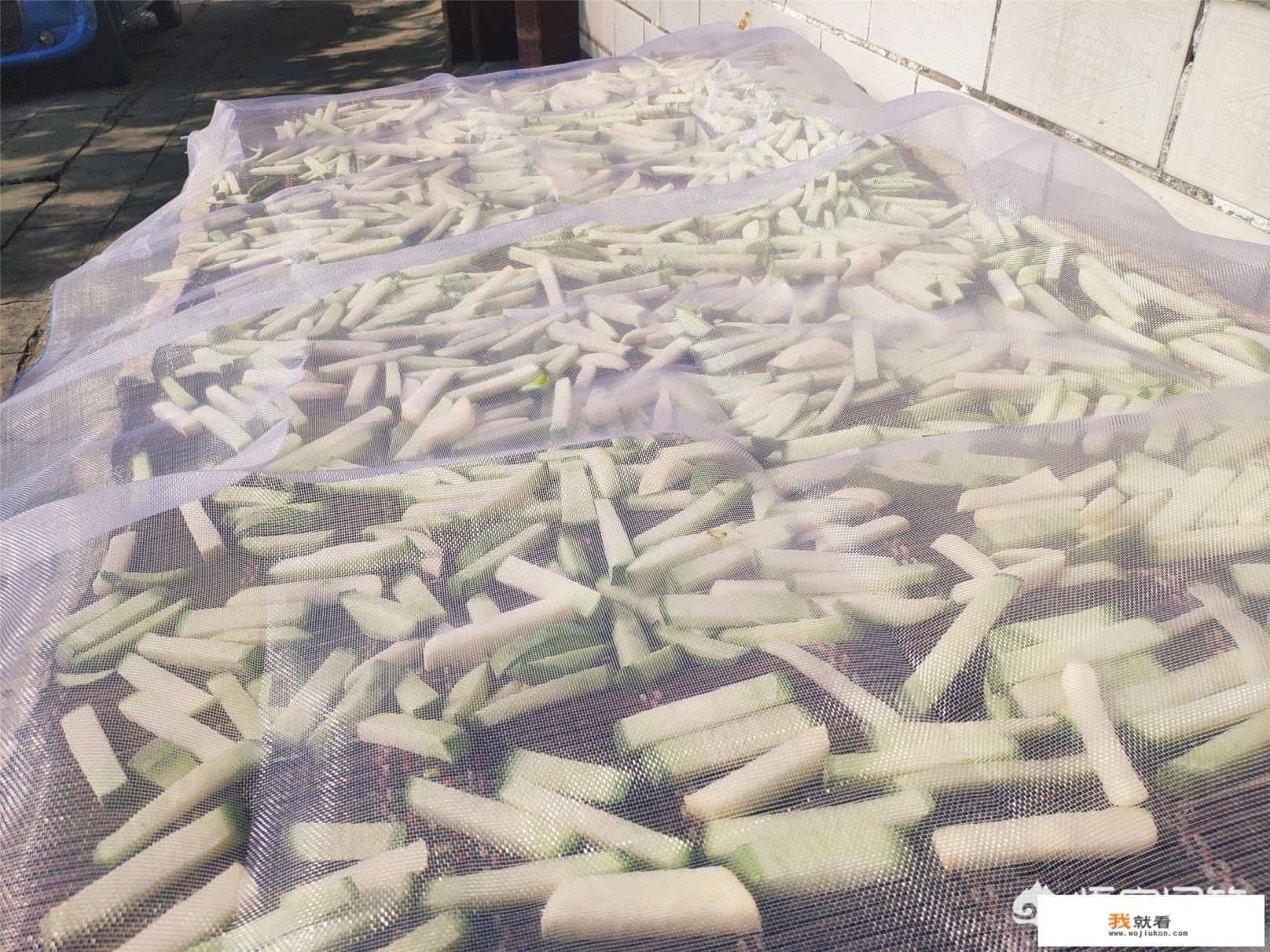 青萝卜干咸菜的腌制方法？