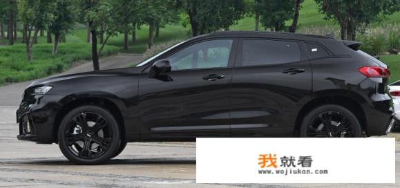 在38号关于wey vv7的测评中，关于“车身极限”的言论，应该如何理解？