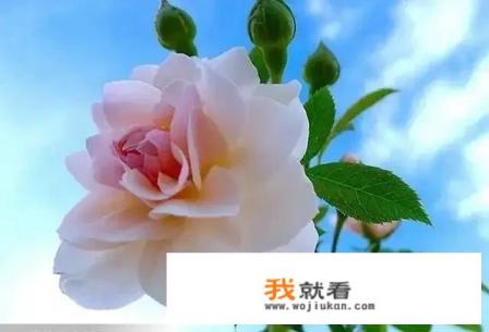 中华汽车停产了吗？