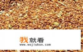 青稞什么意思？