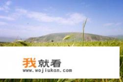 青稞什么意思？