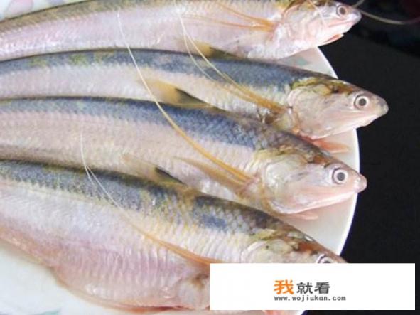 清蒸带鱼段做法？