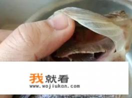 偏口鱼怎么处理？
