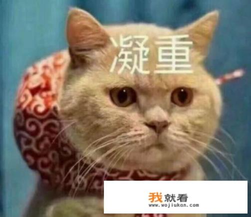 2022款途观l怎么样值得买吗？