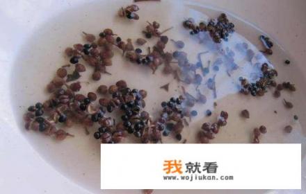 花椒的副作用？