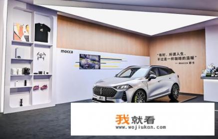 长城2022摩卡顶配落地价？