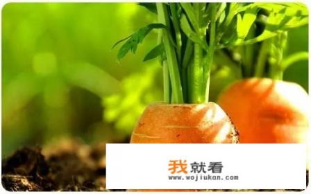 胡萝卜营养虽然特别好，但吃多了会有危害吗？