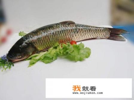 40-50斤青鱼石贵吗？