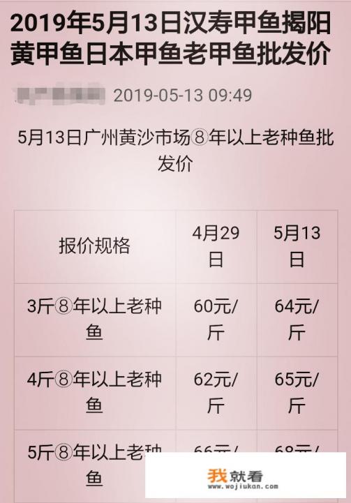 养甲鱼的利润与风险? 养甲鱼的利润与风险?