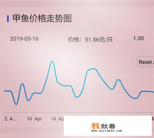 养甲鱼的利润与风险? 养甲鱼的利润与风险?