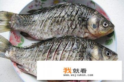 如何做鲫鱼汤好吃又好喝？