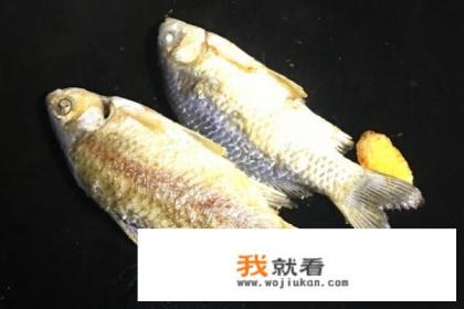 如何做鲫鱼汤好吃又好喝？