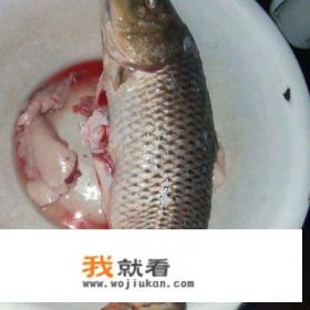 五花肉炖鱼豆腐的家常做法？