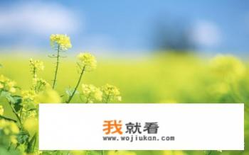 大学生上学，远离家乡，自控力弱，上网成瘾，迷恋游戏，有什么好的解决办法？