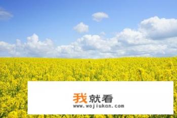 大学生上学，远离家乡，自控力弱，上网成瘾，迷恋游戏，有什么好的解决办法？