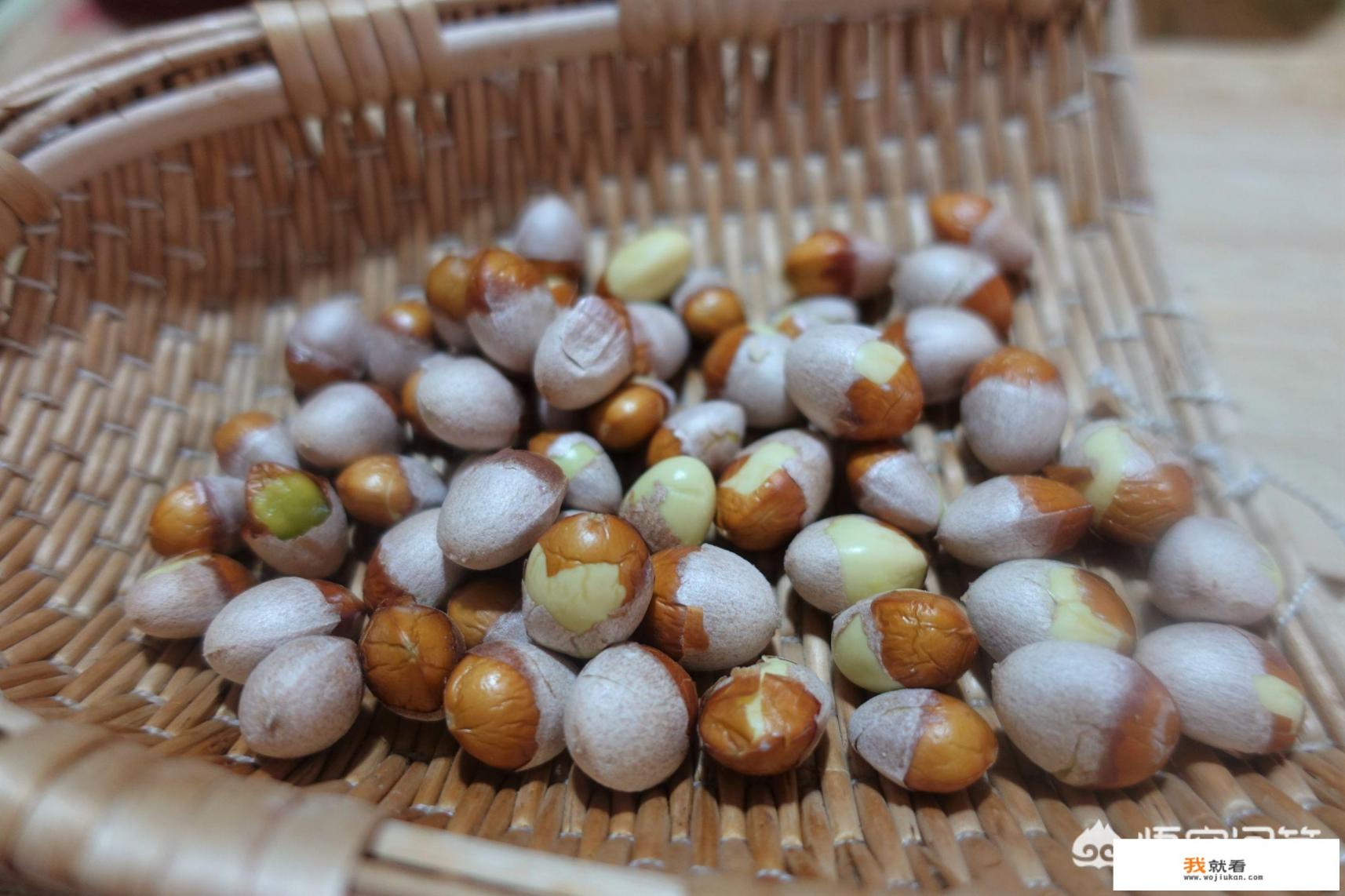 白果怎么食用？