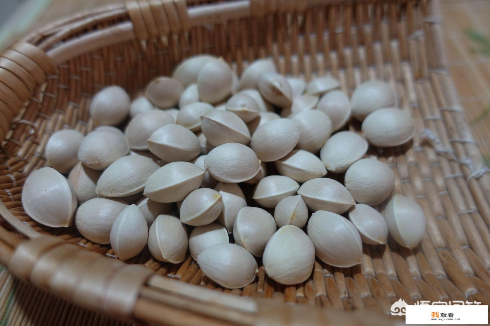 白果怎么食用？