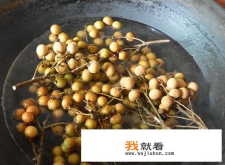 龙眼干怎么晒？