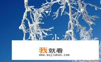 小雪节气种什么蔬菜？