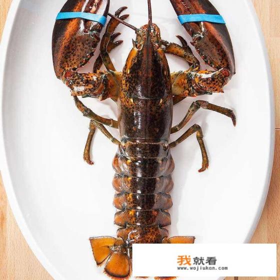 加拿大龙虾怎么做好吃？