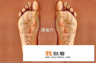 请问男人肾虚有什么可以食补？