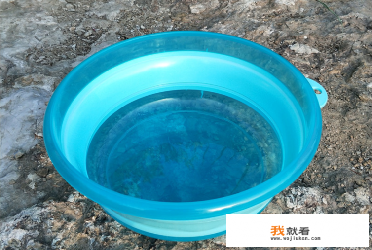 活鲍鱼如何养到第二天？