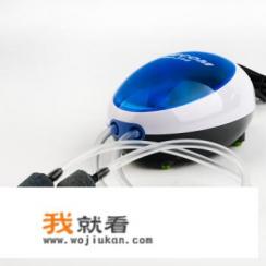 活鲍鱼如何养到第二天？