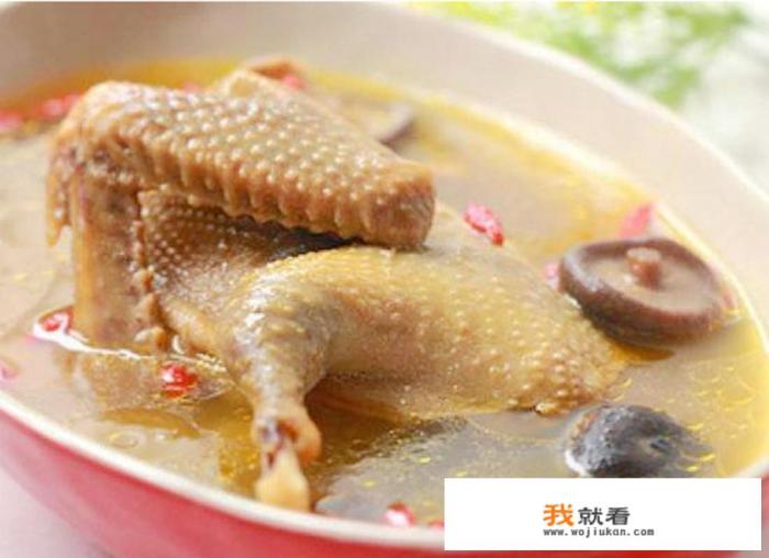 鸽子汤怎么炖最营养，鸽子汤的做法？