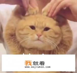 瘦人长胖食谱？