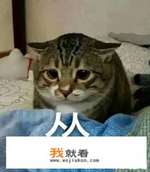 瘦人长胖食谱？