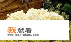 金针菇有哪些营养价值？真的不好消化吗？哪些人不能吃？